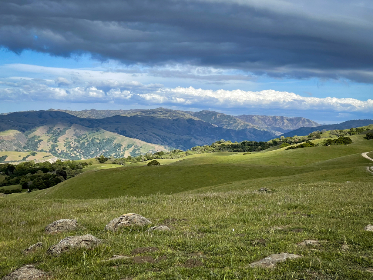 如何在必威体育上获得更高的投注回报率