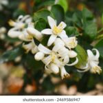 18172期开奖结果最新公布,快来看看你中奖了吗? 3mk2gjdv9