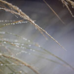 3D历史开奖返奖比例数据分析与趋势解读 466bw63k4