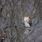 1861开奖直播现场全程高清实况回放 78gzey