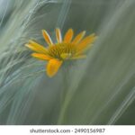 3d历史开奖结果走势图今日最新数据与图表分析 q0zhugts8