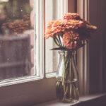 3D历史试机号与开奖号完整数据对比分析 rhg37vtq0r