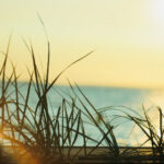 1874期彩票开奖结果正式公布,大奖花落谁家? v1o93f2