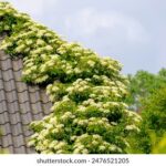 3D历史第126期开奖号码回顾与详细数据分析 xnz3xaw5s9